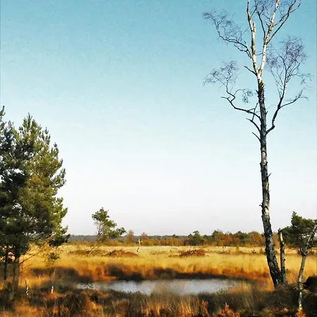 Vakantiehuis Skygazer One *