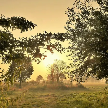 Vakantiehuis Skygazer One Putte