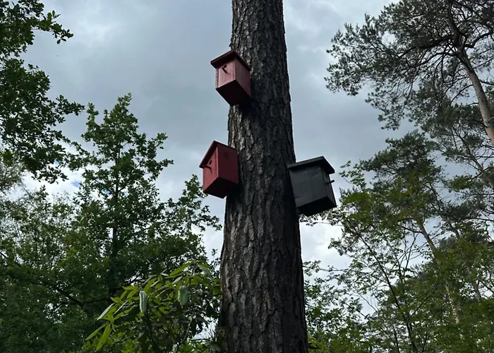 Nyaraló Skygazer One *