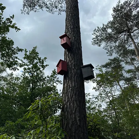 Semesterbostad Skygazer One *