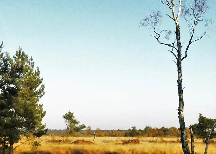 Holiday home Skygazer One *